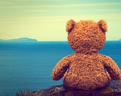 Ein Teddybär, der auf das Meer hinausschaut.
